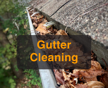 Property Maintenance